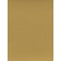 Daler-Rowney Canford Cut Paper and Card Sheets Card Frosted Gold 8 1/2 In. X 11 In. [Pack Of 20] (20PK-402860071)