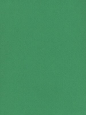 Daler-Rowney Canford Cut Paper  And  Card Sheets Paper Emerald Green 8 1/2 In. X 11 In. [Pack Of 20] (20PK-402260026)
