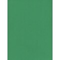 Daler-Rowney Canford Cut Paper  And  Card Sheets Paper Emerald Green 8 1/2 In. X 11 In. [Pack Of 20] (20PK-402260026)