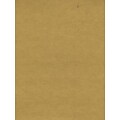 Daler-Rowney Canford Cut Paper  And  Card Sheets Paper Frosted Gold 8 1/2 In. X 11 In. [Pack Of 20] (20PK-402260071)