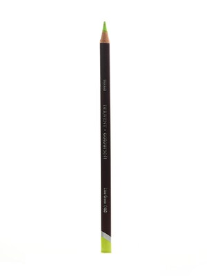 Derwent Coloursoft Pencils Lime Green C460 [Pack Of 12] (12PK-0700998)