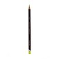 Derwent Coloursoft Pencils Lime Green C460 [Pack Of 12] (12PK-0700998)