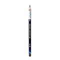 Derwent Inktense Pencils Bark 2000 [Pack Of 12] (12PK-0700922)