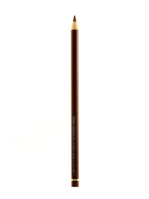 Faber-Castell Polychromos Artist Colored Pencils (Each) Burnt Sienna 283 [Pack Of 12] (12PK-110283)