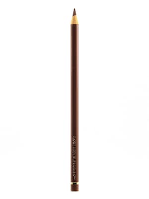 Faber-Castell Polychromos Artist Colored Pencils (Each) Caput Mortuum 169 [Pack Of 12] (12PK-110169)