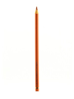Faber-Castell Polychromos Artist Colored Pencils (Each) Cinnamon 189 [Pack Of 12] (12PK-110189)