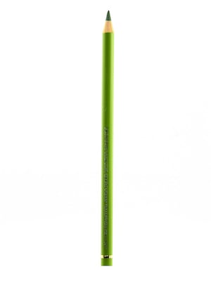 Faber-Castell Polychromos Artist Colored Pencils (Each) Earth Green Yellowish 168 [Pack Of 12] (12PK-110168)
