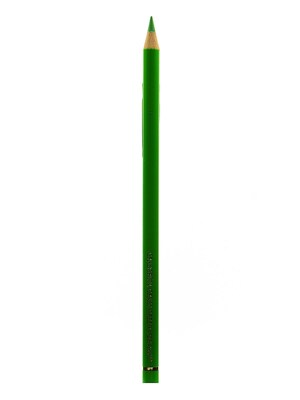 Faber-Castell Polychromos Artist Colored Pencils (Each) Grass Green 166 [Pack Of 12] (12PK-110166)