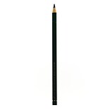 Faber-Castell Polychromos Artist Colored Pencils (Each) Hookers Green 159 [Pack Of 12] (12PK-110159)