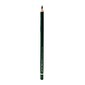 Faber-Castell Polychromos Artist Colored Pencils (Each) Juniper Green 165 [Pack Of 12] (12PK-110165)