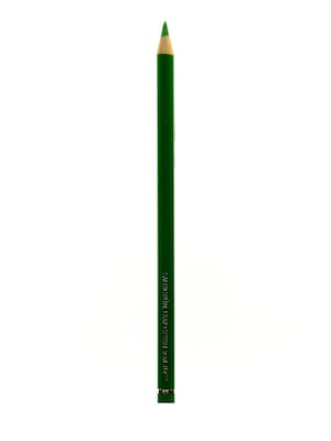 Faber-Castell Polychromos Artist Colored Pencils (Each) Leaf Green 112 [Pack Of 12] (12PK-110112)
