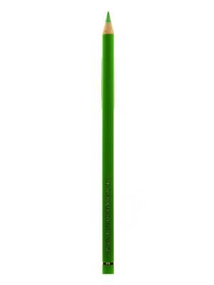 Faber-Castell Polychromos Artist Colored Pencils (Each) Light Green 171 [Pack Of 12] (12PK-110171)