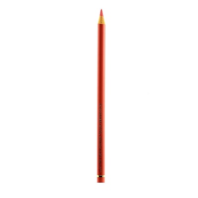 Faber-Castell Polychromos Artist Colored Pencils (Each) Medium Flesh 131 [Pack Of 12] (12PK-110131)