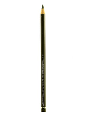 Faber-Castell Polychromos Artist Colored Pencils (Each) Olive Green Yellowish 173 [Pack Of 12] (12PK-110173)