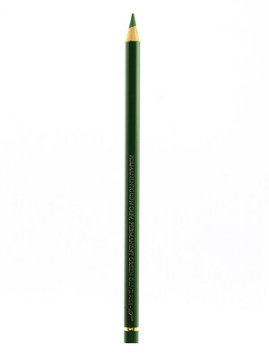 Faber-Castell Polychromos Artist Colored Pencils (Each) Permanent Green Olive 167 [Pack Of 12] (12PK-110167)