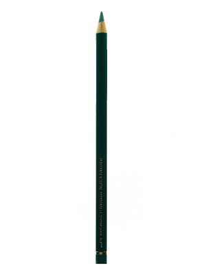 Faber-Castell Polychromos Artist Colored Pencils (Each) Phthalo Green 161 [Pack Of 12] (12PK-110161)