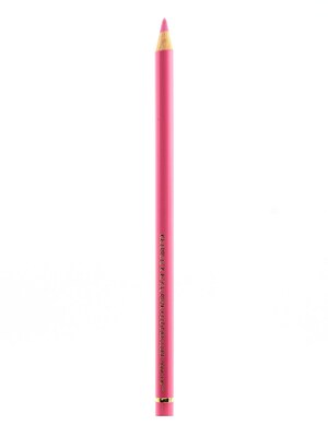 Faber-Castell Polychromos Artist Colored Pencils (Each) Pink Madder Lake 129 [Pack Of 12] (12PK-110129)