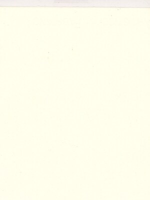 Fabriano Artistico Watercolor Paper Extra White 140 Lb. Hot Press Each (71-62910079)