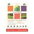 Grafix Dura-Lar Acetate Alternative Wet Media Pads 9 In. X 12 In. Pad Of 12 (P04DW0912)