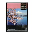 Nielsen Bainbridge Tribeca Poster Frame 18 In. X 24 In. (WD21A41)