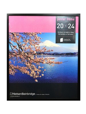 Nielsen Bainbridge Tribeca Poster Frame 20 In. X 24 In. (WD31A41)