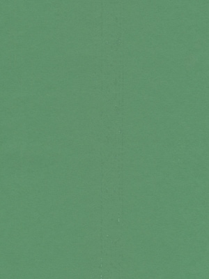 Pacon Sunworks Construction Paper Green 12 x 18, 50 Sheets, 5/Pack  (5PK-8007)