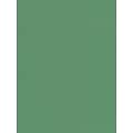 Pacon Sunworks Construction Paper Green 12 x 18, 50 Sheets, 5/Pack  (5PK-8007)