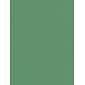 Pacon Sunworks Construction Paper Green 12 In. X 18 In. [Pack Of 5] (5PK-8007)