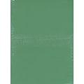 Pacon Sunworks Construction Paper 9 X 12,  Green, 50 Sheets, 5/Pack (5PK-8003)