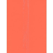 Pacon 12 x 18 Construction Paper, Orange, 50 Sheets/Pack, 5/Pack (17126-PK5)