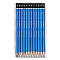 Staedtler Mars Lumograph Assorted Design Pencil Sets, 12/Set (100 G12 10)