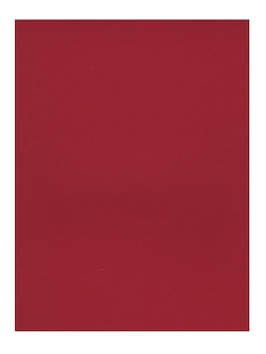 Strathmore 400 Series Textured Art Papers Kimono Red [Pack Of 10] (10PK-107-101)