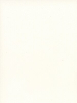 Strathmore 500 Series Bristol Vellum 3 Ply 23 In. X 29 In. Sheet (235-063)