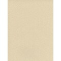 Strathmore Artagain Recycled Papers Beach Sand Ivory [Pack Of 10] (10PK-446-2)