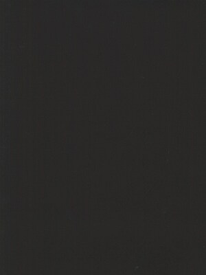 Strathmore Charcoal Paper Black [Pack Of 10] (10PK-60-131)