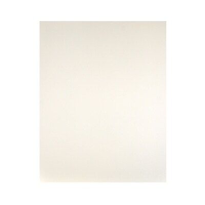 Strathmore Museum Mounting Board Acid Free White 4 Ply Each (134-114)