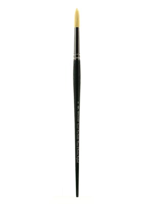 Winsor  And  Newton Winton Hog Brushes 10 Round (5975710)