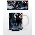 Seventh Son Destiny 11 oz. Mug (MG23171)