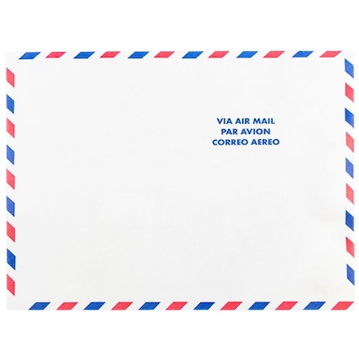 JAM Paper Tear-Proof Tyvek Open End Catalog Envelopes, 10 x 13, White Airmail, 25/Pack (2131101)