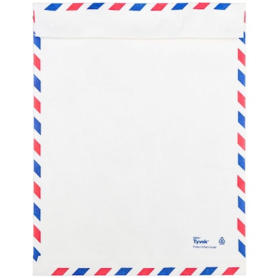 JAM Paper Tear-Proof Tyvek Open End Catalog Envelopes, 10" x 13", White Airmail, 10/Pack (2131101A)