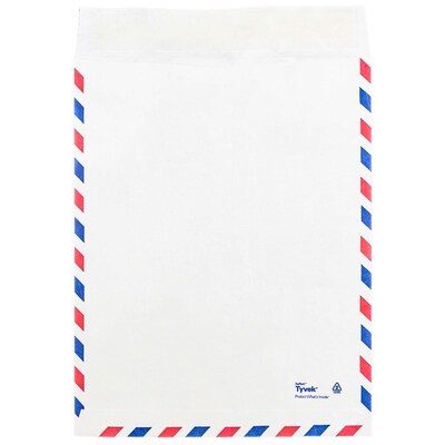 JAM Paper Tear-Proof Tyvek Open End Catalog Envelopes, 10" x 13", White Airmail, 10/Pack (2131101A)