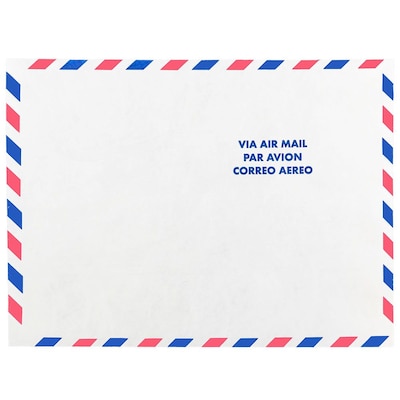 JAM Paper 9 x 12 Tear-Proof Open End Catalog Envelopes, White Airmail, 10/Pack (2131102A)
