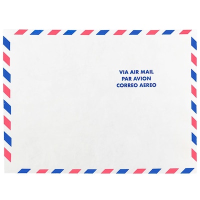 JAM Paper® 9 x 12 Tear-Proof Open End Catalog Envelopes, White Airmail, 250/Box (2131102I)