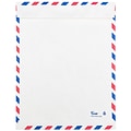 JAM Paper® 9 x 12 Tear-Proof Open End Catalog Envelopes, White Airmail, 250/Box (2131102I)