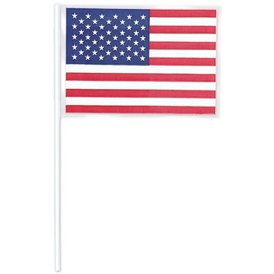 Amscan American Flag, 4 x 6.25 , Red/White/Blue, 2/Pack, 12 Per Pack (216020)