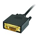 SIIG® CB-DP1A11-S2 10 DisplayPort - DVI Converter Cable, Black