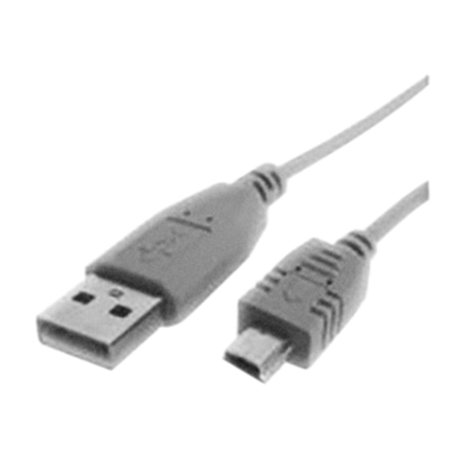 Zebra® Data Transfer Cable for QLn220/QLn320 Label Printer, USB Type B/Type A (P1031365-055)