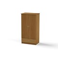 MedViron St. Clair 72 Wardrobe, 2-Door 1-Drawer, Honey Maple, 39W x 25D x 72H (Z46-1200-T448)