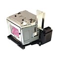 eReplacements Projector Replacement Lamp, 250 W (AN-D350LP-ER)