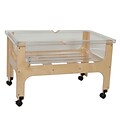 Wood Designs 25H x 27W x 41D Mobile Deluxe Sand and Water Table without Lid(11866)
